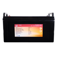 Аккумулятор Lifepo4 12V-100 AH (BMS 80A/40A) пластик
