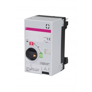 Мотор-привод MO2 250 DC100V 004671335