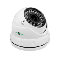 Антивандальна IP камера GreenVision GV-055-IP-G-DOS20V-30 POE