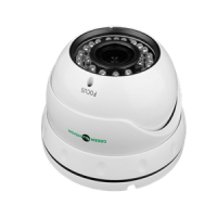Антивандальна IP камера GreenVision GV-055-IP-G-DOS20V-30 POE