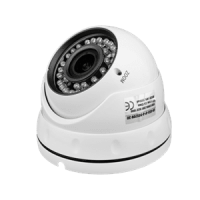 Антивандальна IP камера GreenVision GV-055-IP-G-DOS20V-30 POE