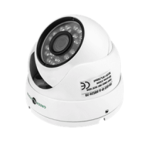 Антивандальна IP камера GreenVision GV-053-IP-G-DOS20-20 POE