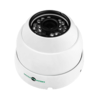Антивандальна IP камера GreenVision GV-053-IP-G-DOS20-20 POE