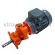 Мотор редуктор M110-021-TR 750W, 366 обор./хв.