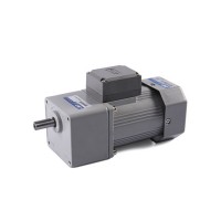 Мотор редуктор 6IK140GU-6GU150K-C15 140W, 10 обор./хв.