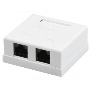Розетка RITAR UTP 8P8C RJ45 2 порт Cat-5, накладна біла Q400