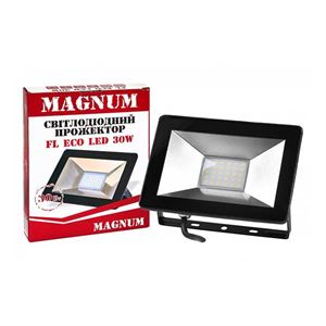 Прожектор MAGNUM FL ECO, 100W, 6500K, IP65