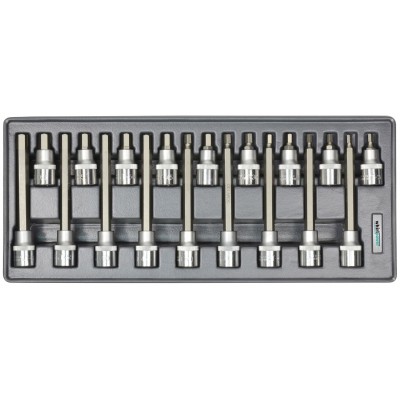 Whirlpower Набір головок зі вставкою Hex 1/2" Н5-Н19 18од ложемент