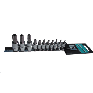 Whirlpower Набір головок зі вставкою Torx з отвором 1/4" і 3/8" 11од. на планці