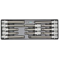 Whirlpower Набір головок зі вставкою Hex,Torx,Spline 1/2" 13од ложемент