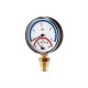 Термоманометр CEWAL TRP 80 VI 0-120 °C/0-6 Bar