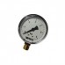 Манометр WATTS F+R200 0-6 Bar