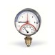 Термоманометр WATTS F+R828 TIRM80 0-120 °C/0-6 Bar